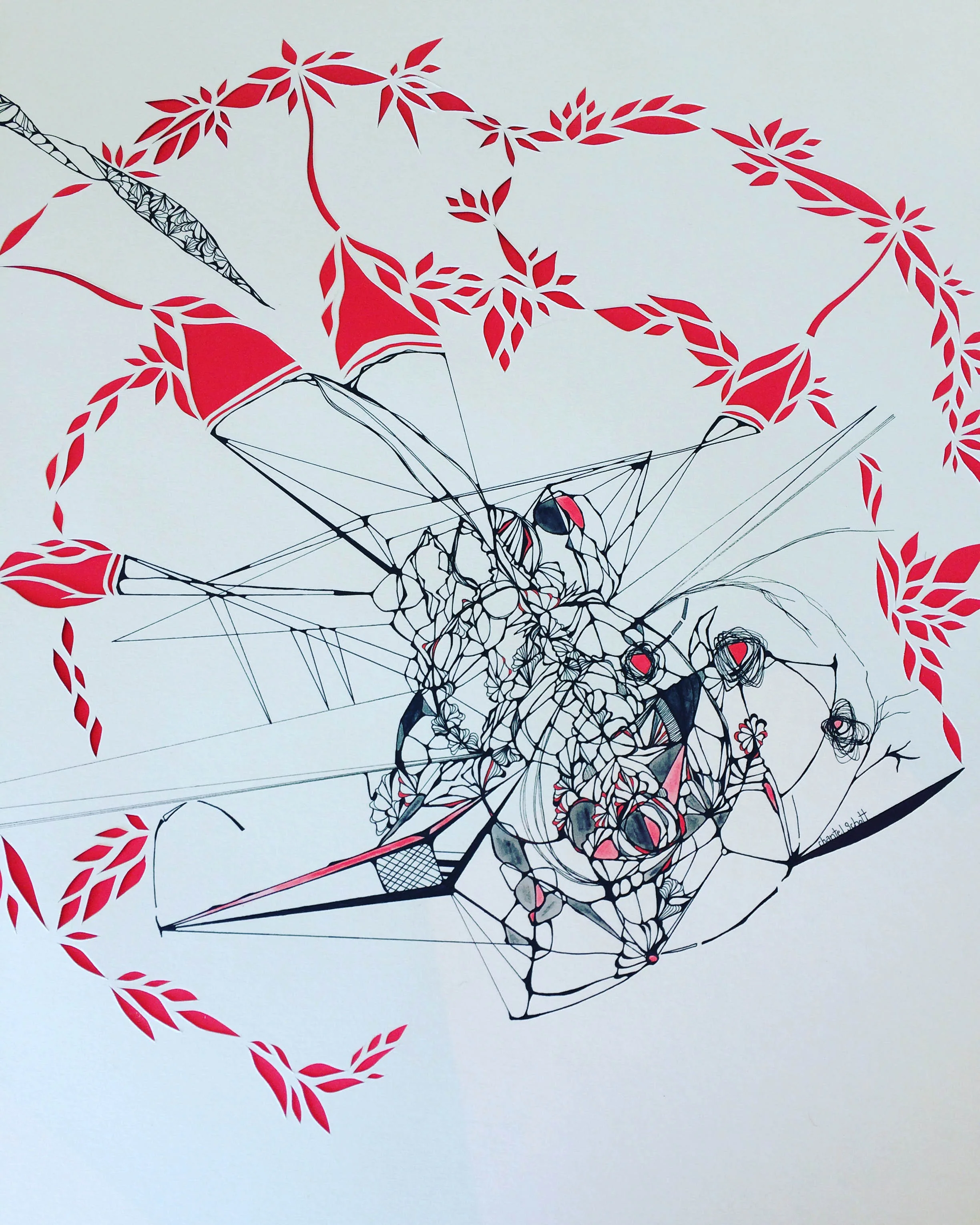 Coming into Land_Chantel Schott.jpg