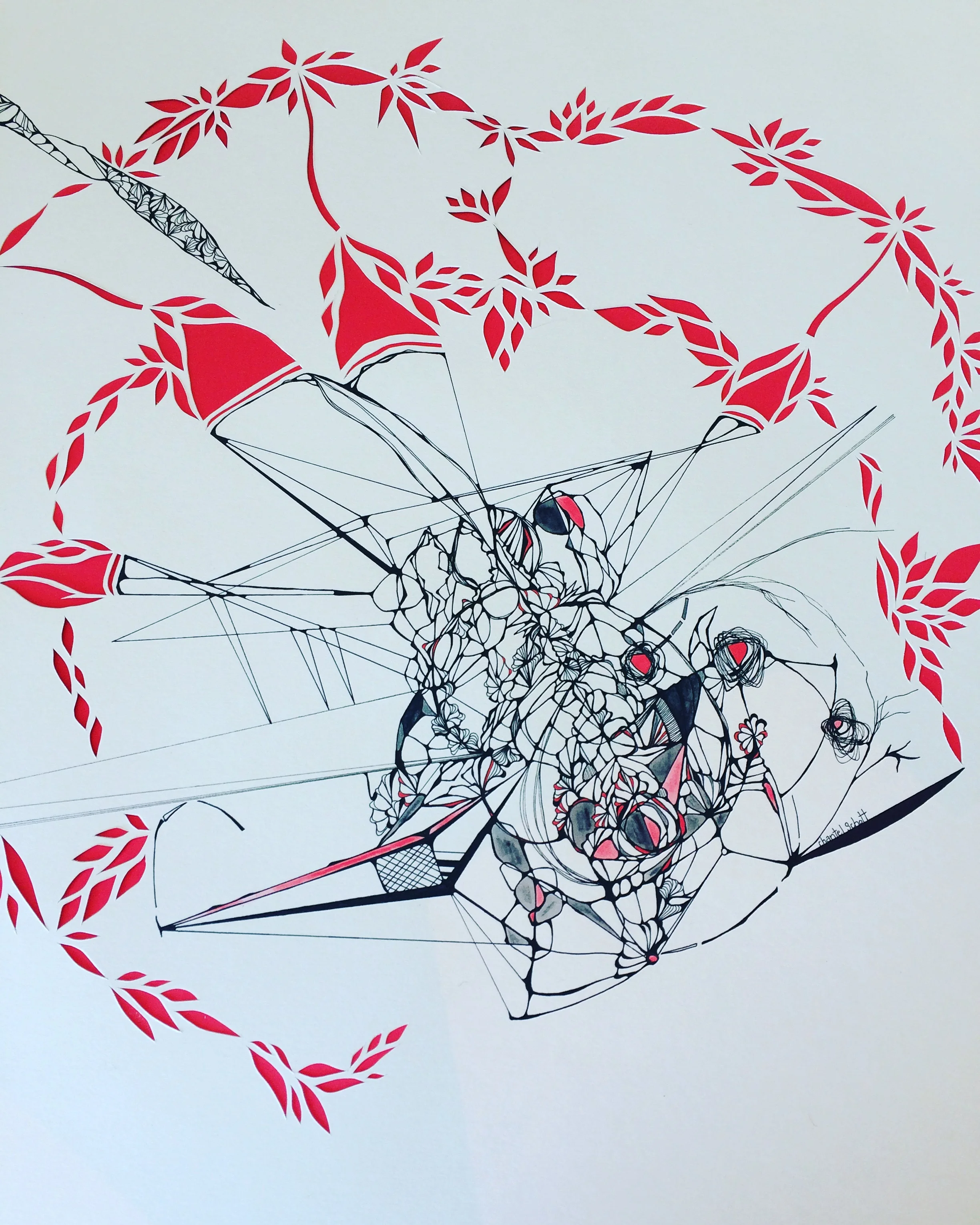 Coming in to Land by Chantel Schott