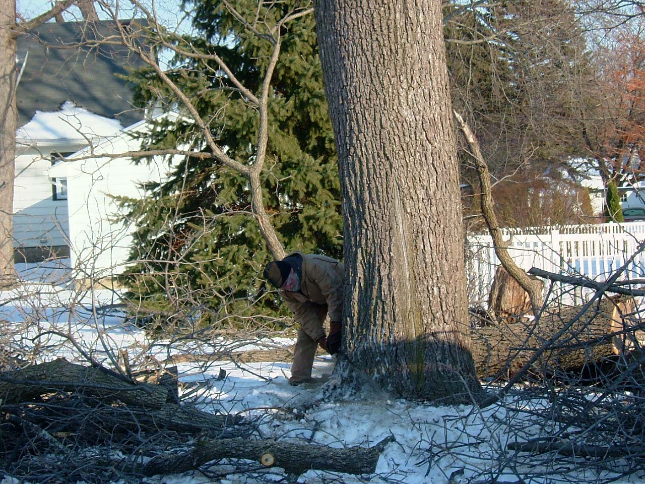 JCH_TTT_CS1_01_notch cut.jpg