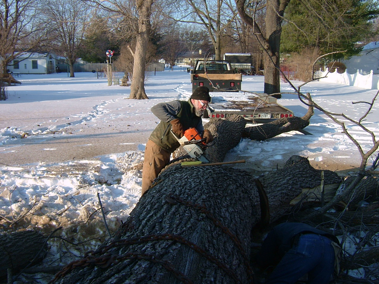 JCH_TTT_CS1_03_walnut tree 2009 017.jpg
