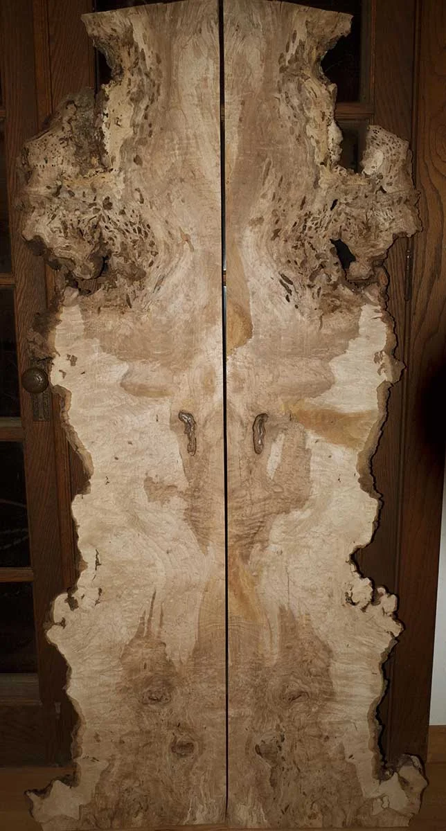 JCH_burl maple 2_01.jpg