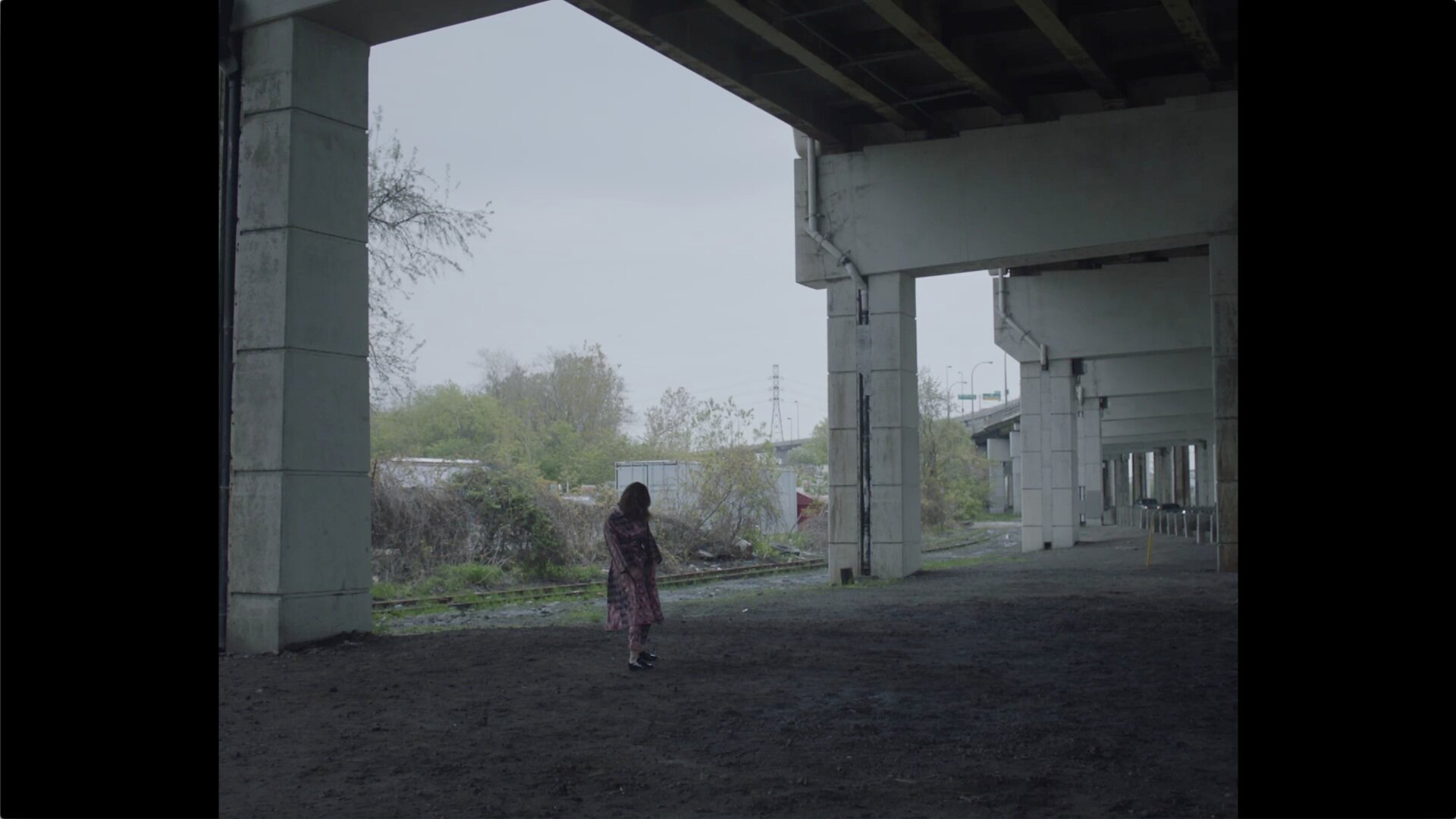 Feist feat. Jarvis Cocker ⍜ Century