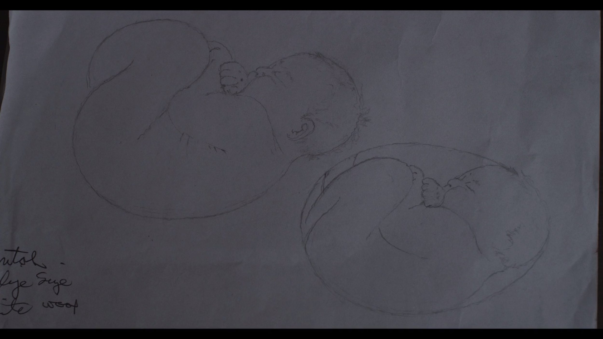 Screen Shot 2016-11-21 at 2.24.16 PM.png