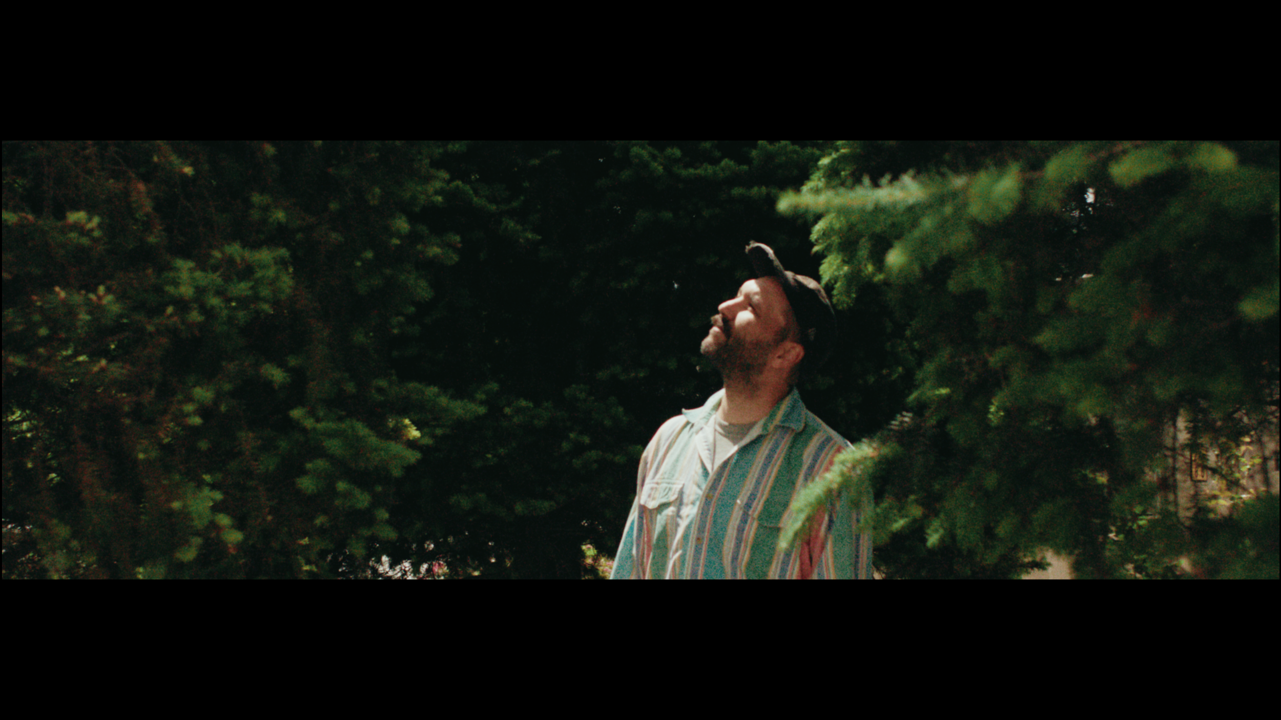 Screen Shot 2024-07-13 at 10.31.10 AM.png