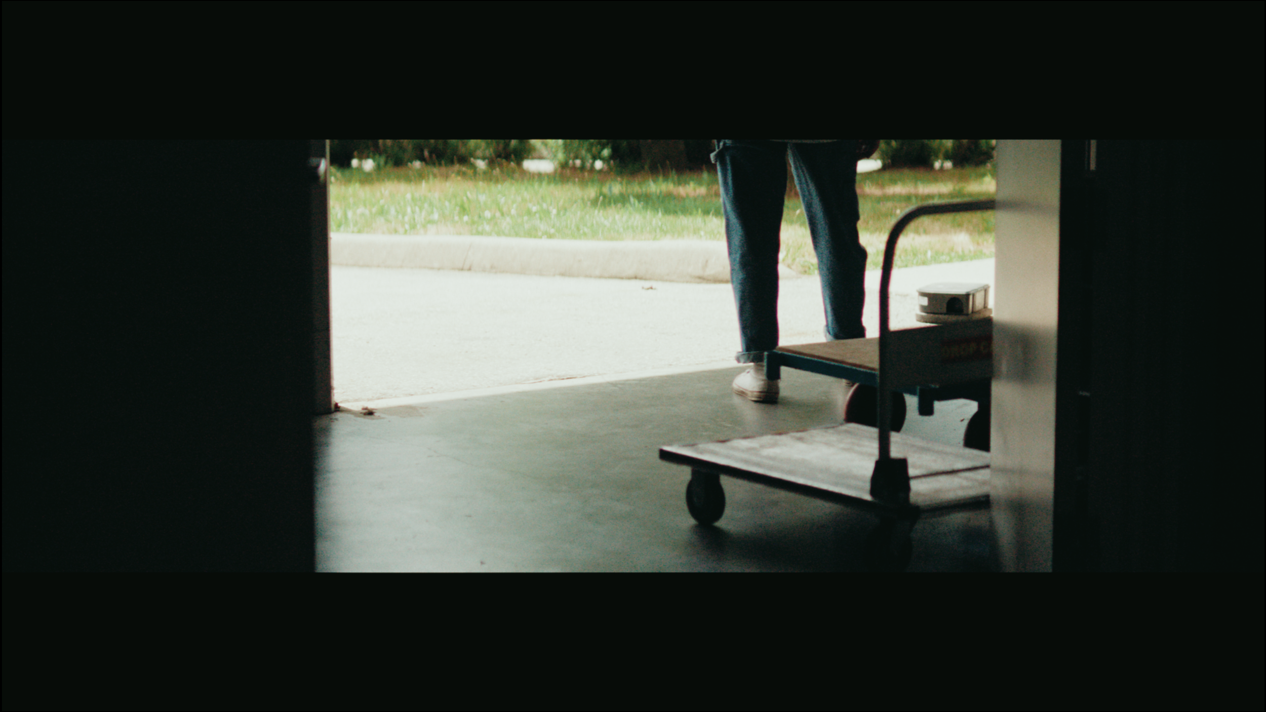 Camera Test ⍜ Panavision Anamorphic + FilmBox