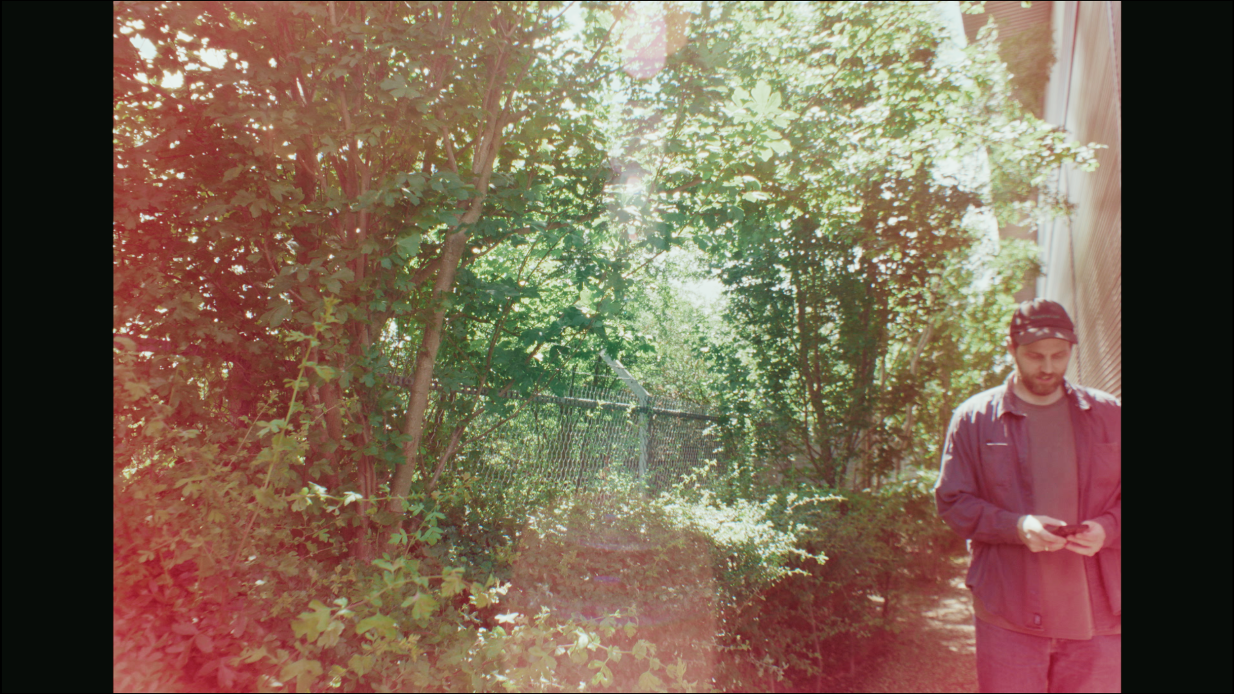 Camera Test ⍜ iso/texture (Ironglass) + FilmBox