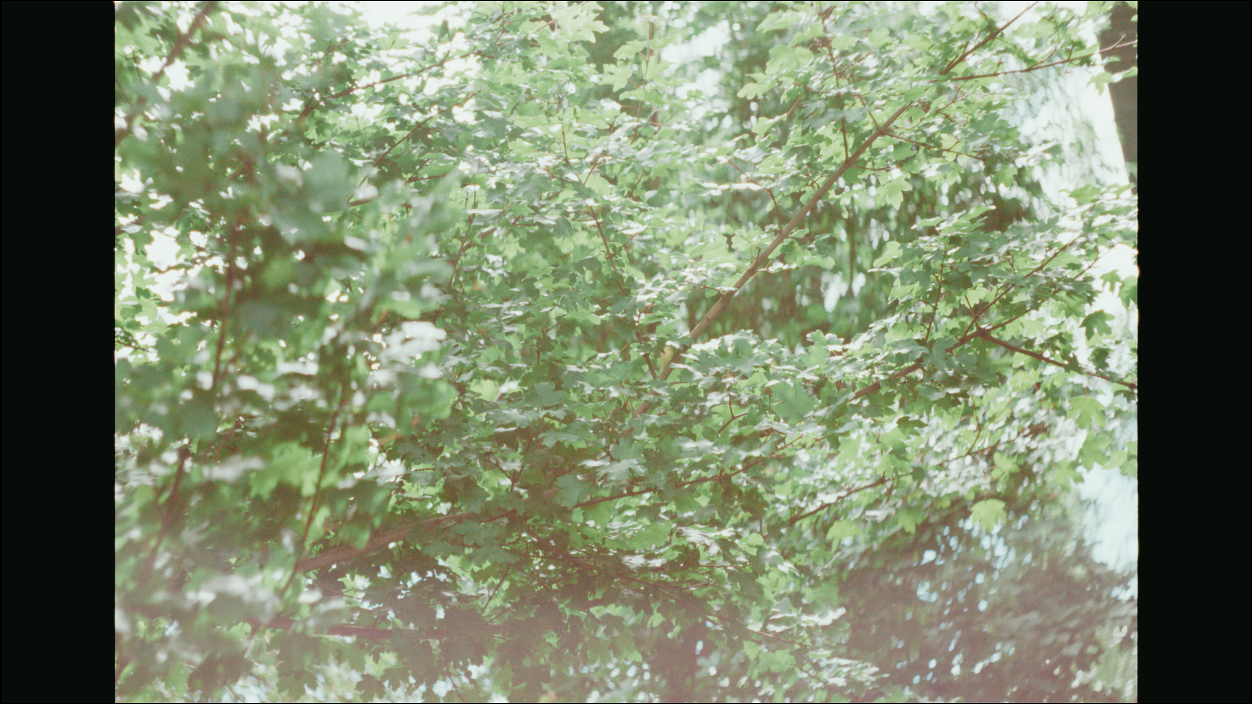 Screen Shot 2024-07-13 at 10.36.26 AM.png