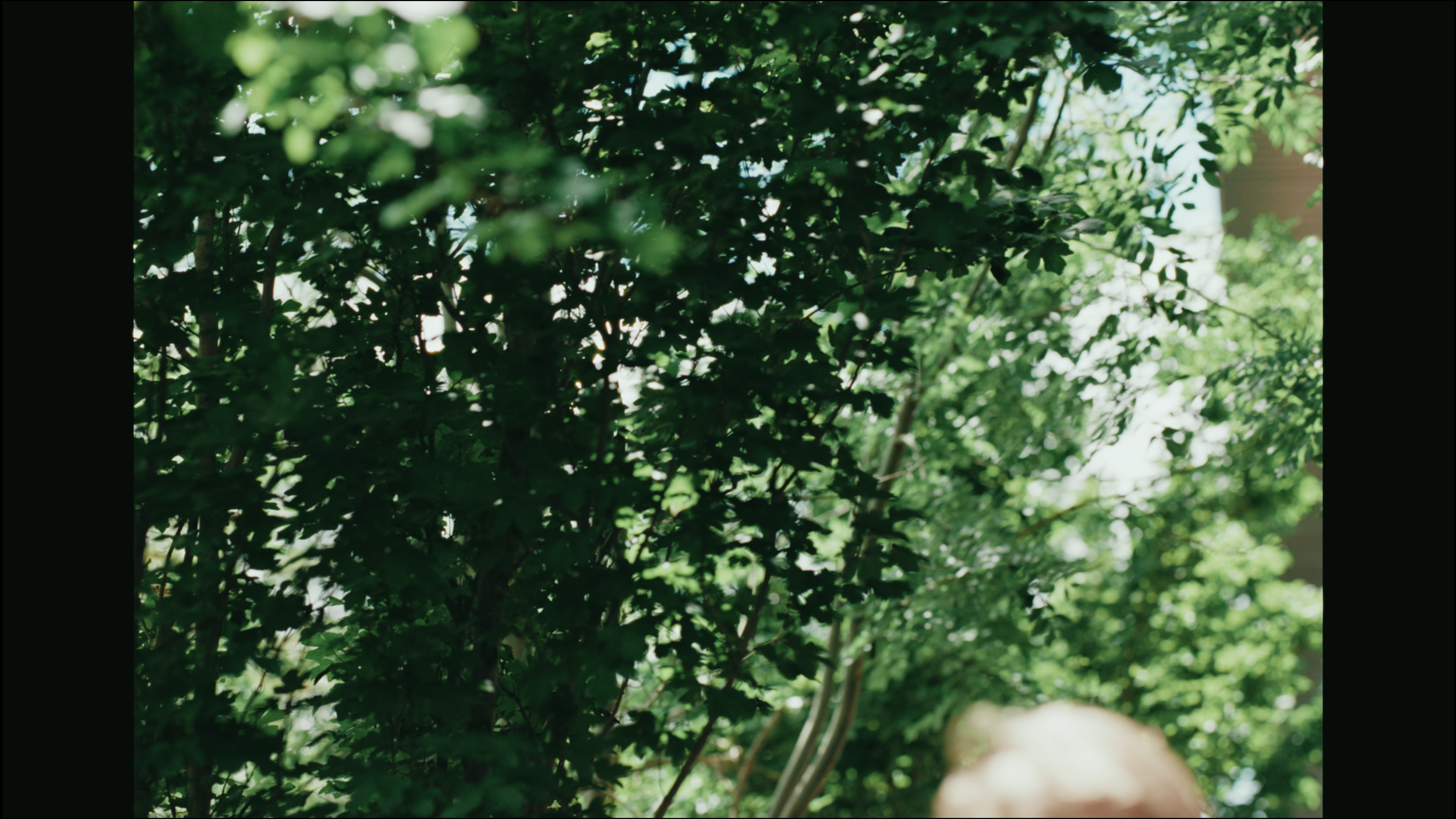 Screen Shot 2024-07-13 at 10.38.30 AM.png