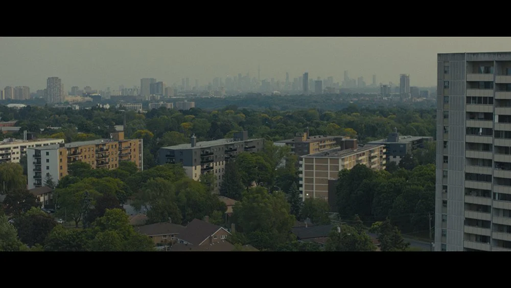 Shook - Toronto Landscape.jpg