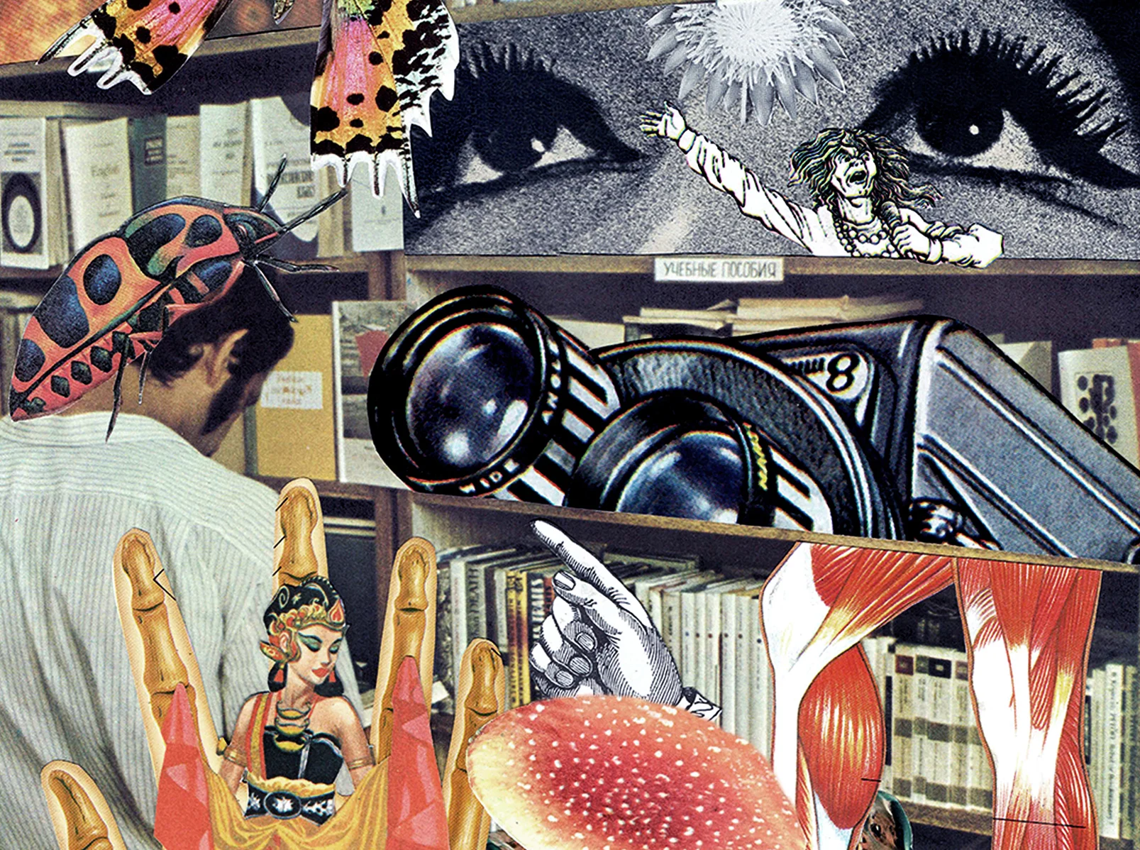 banner.jpg