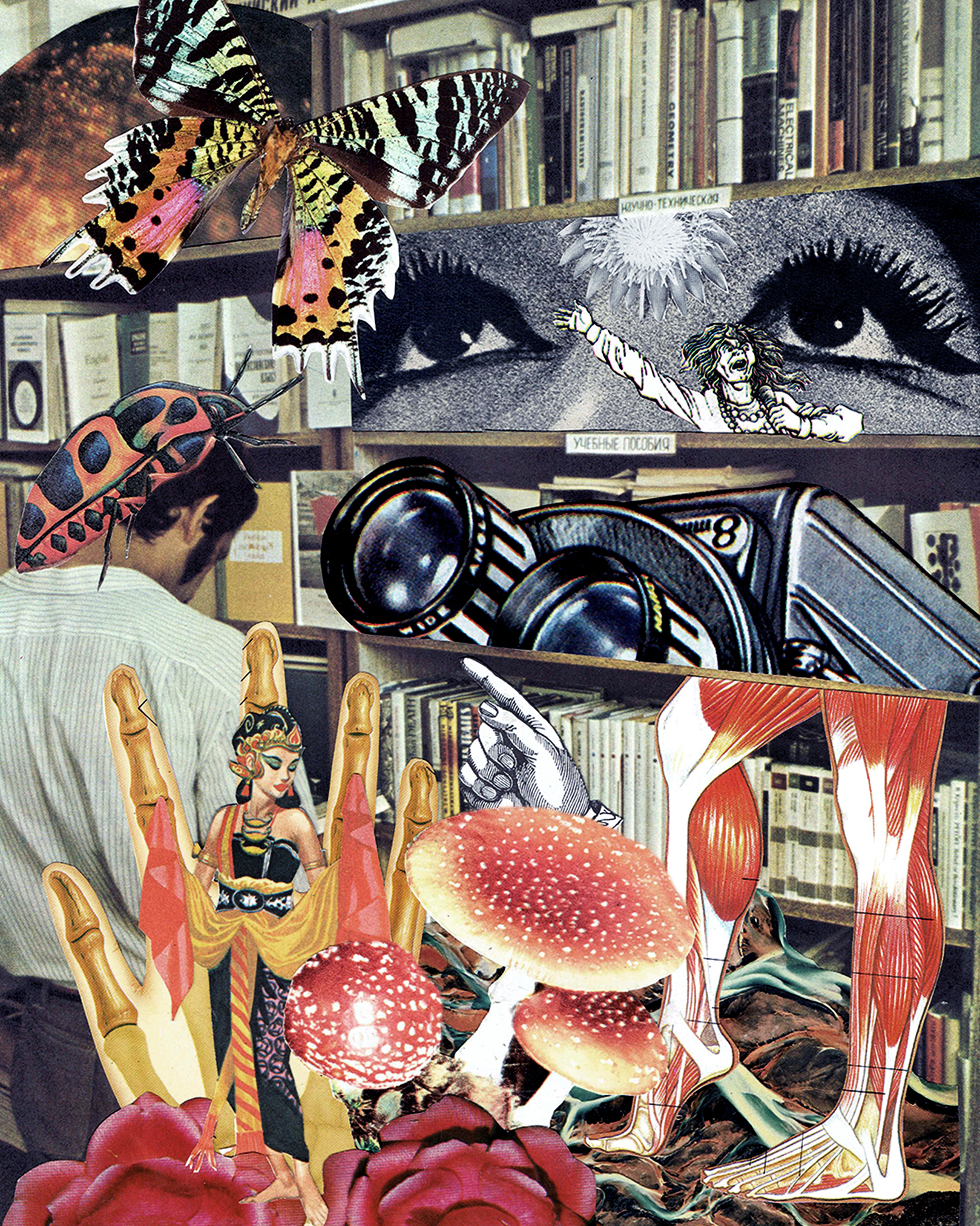 Reference Section (2018)
