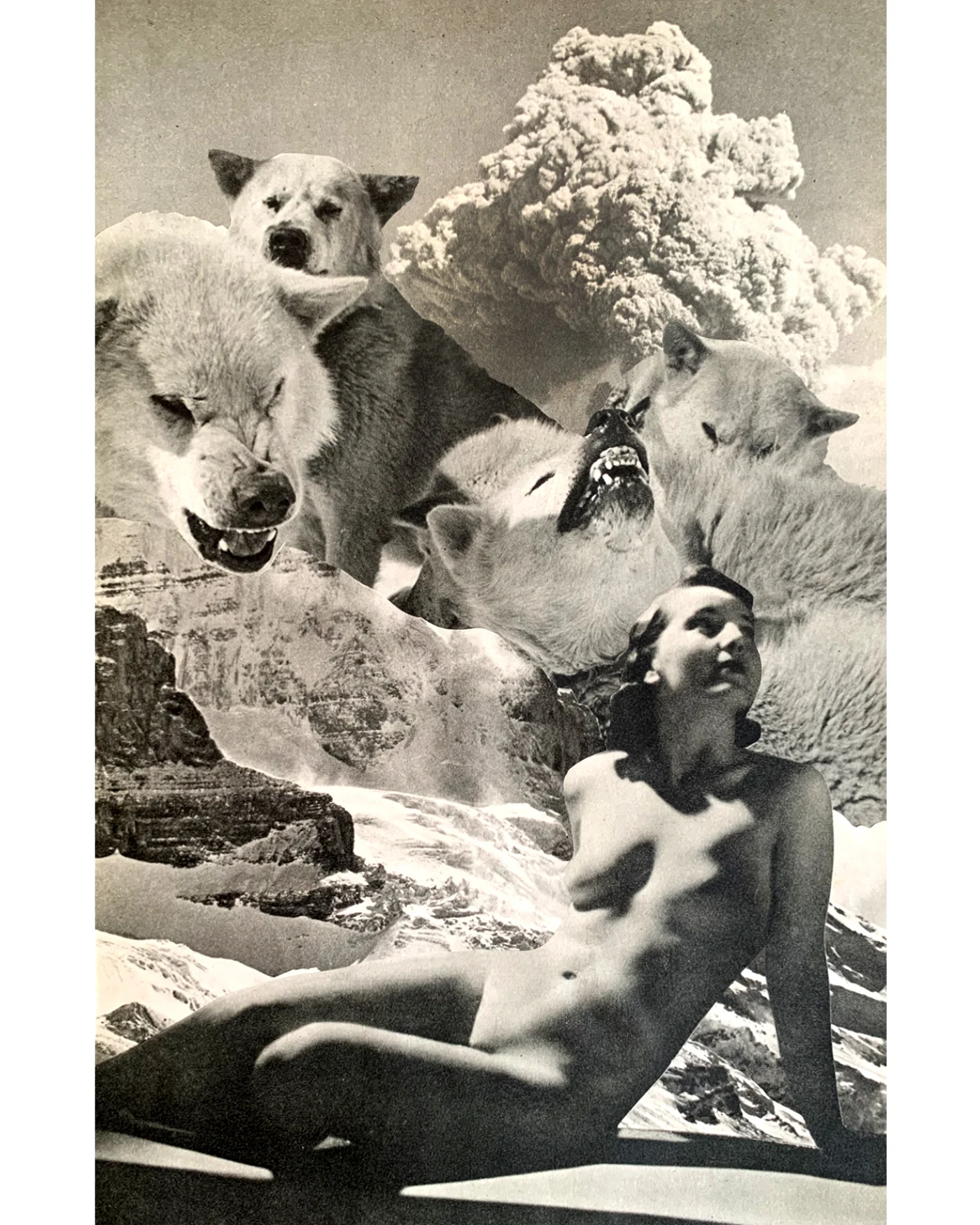 Wolves, Lower (2019)