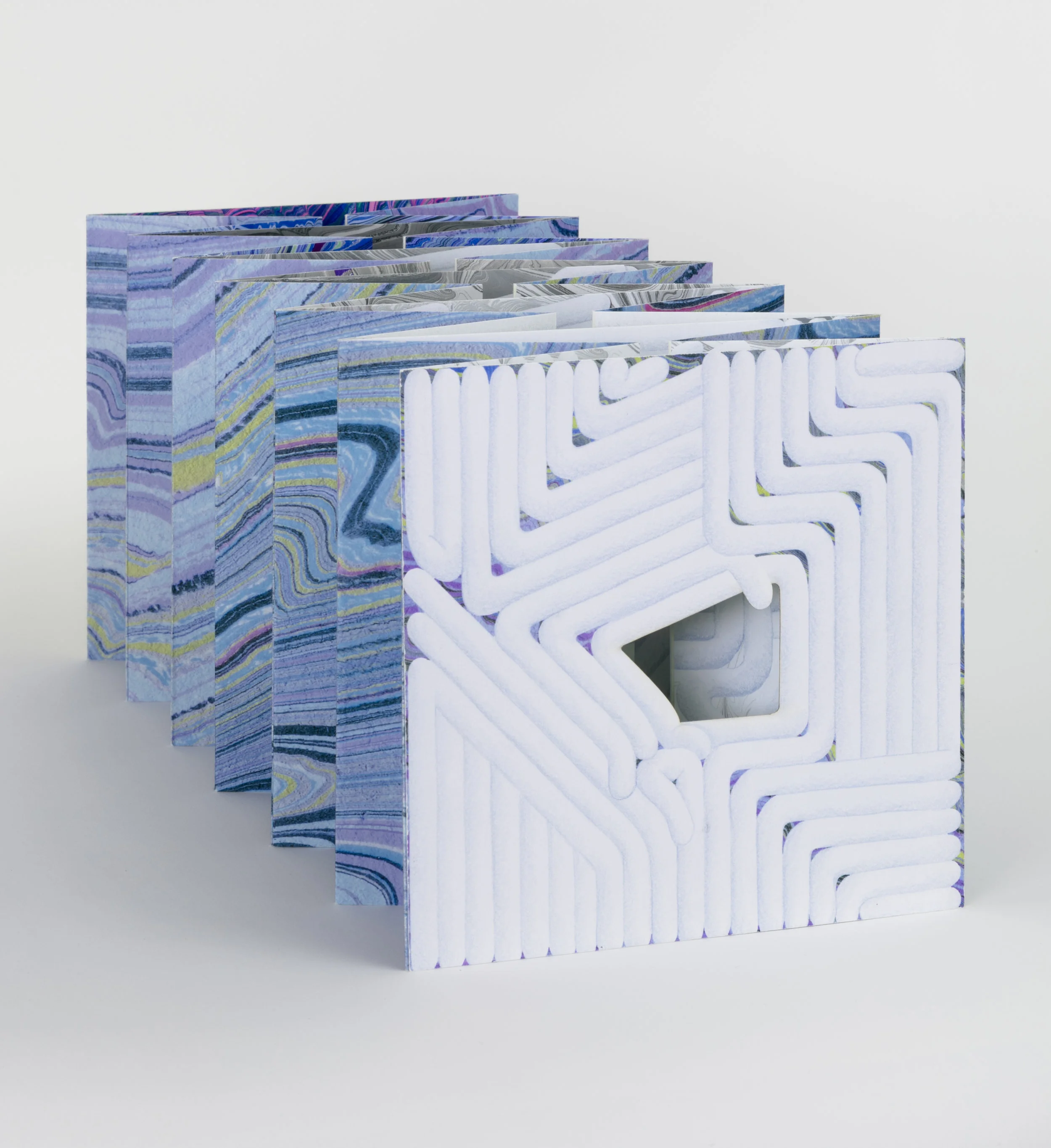 Subtle Body , 2016 Tunnel book, full color pigment printed and laser cut with sleeve, 8 x 8 inches, expands to 46 inches long Signed Edition of 100 + 1 AP Published by Small Editions, Brooklyn NY Library Collections: The Metropolitan Museum of Art The Whitney Museum of American Art The Brooklyn Museum of Art New York Public Library Yale University Virginia Commonwealth University Savannah College of Art and Design