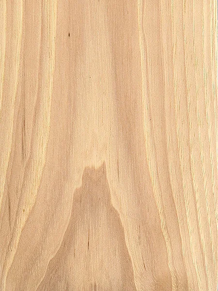 Hickory
