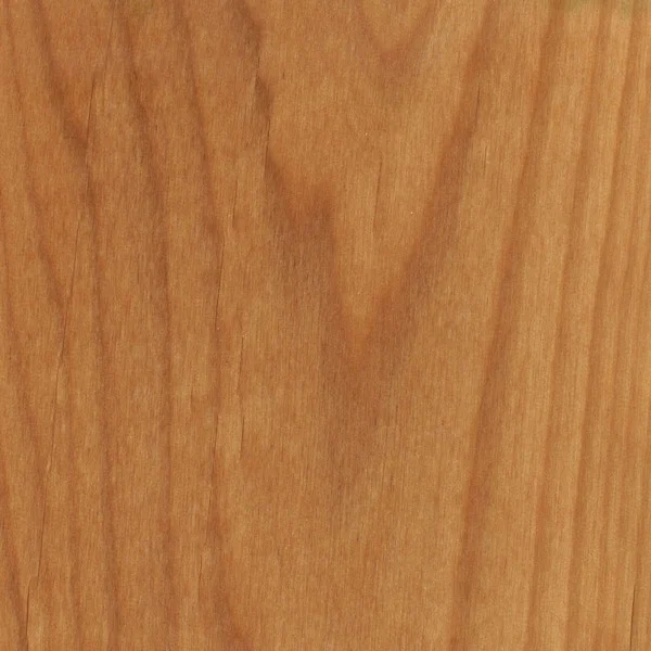 Red Alder