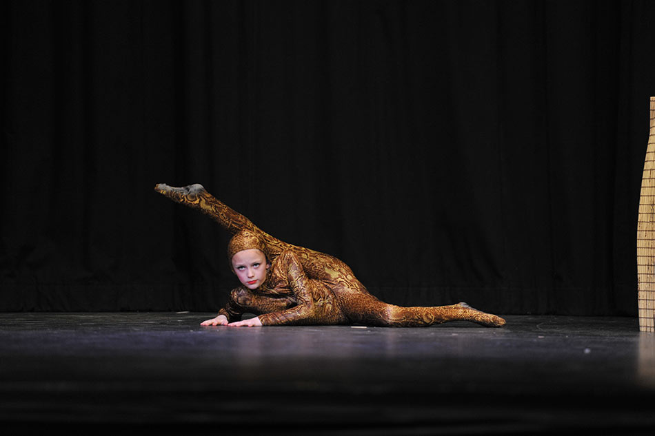 acrodance-7.jpg