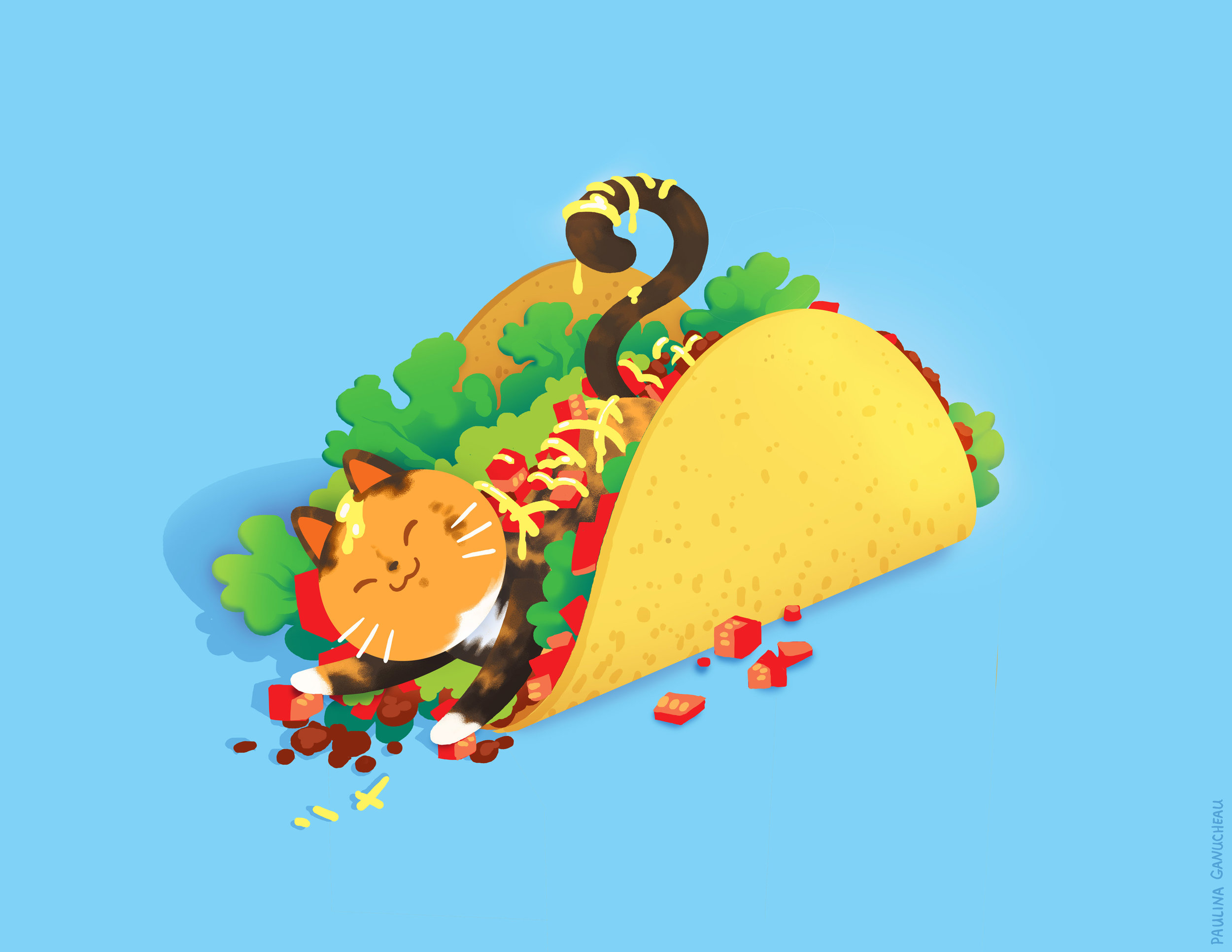 Kate_taco_cat.jpg