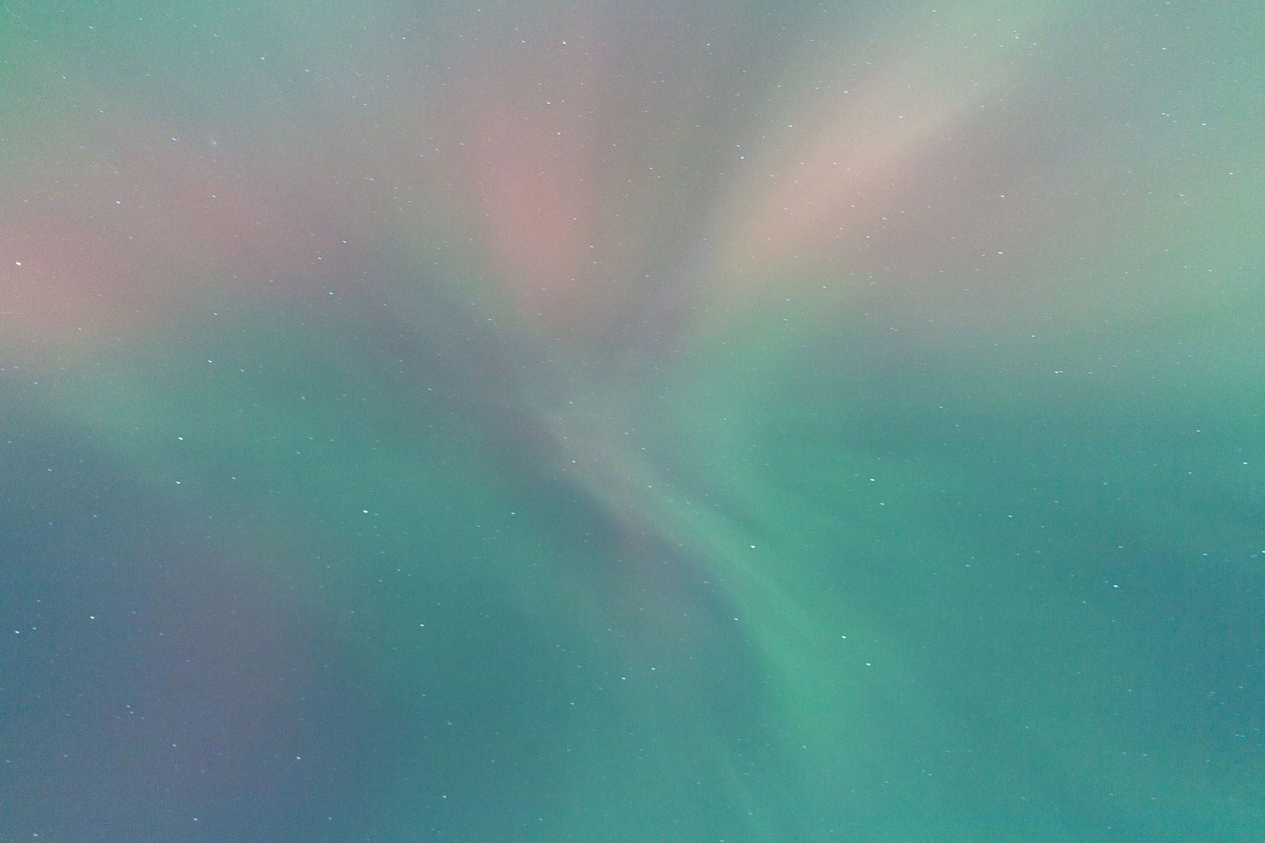 2025-11-12-8.jpg