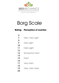 Borg Scale.png