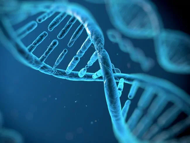 The hi-tech DNA database will improve the prevention, diagnosis and treatment of chronic disease. Picture: iStock Source:istock