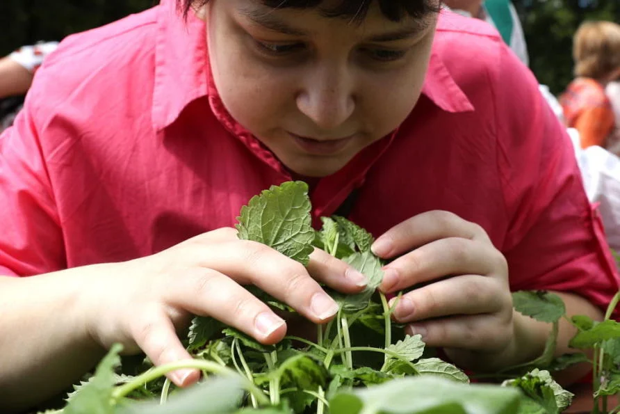 Spaces like sensory gardens and quiet retreats can support inclusive education. Picture: Getty Images