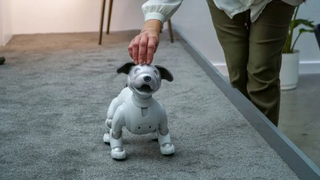 Sony’s Aibo is a robot dog that responds to your touch (Image credit: Sony)