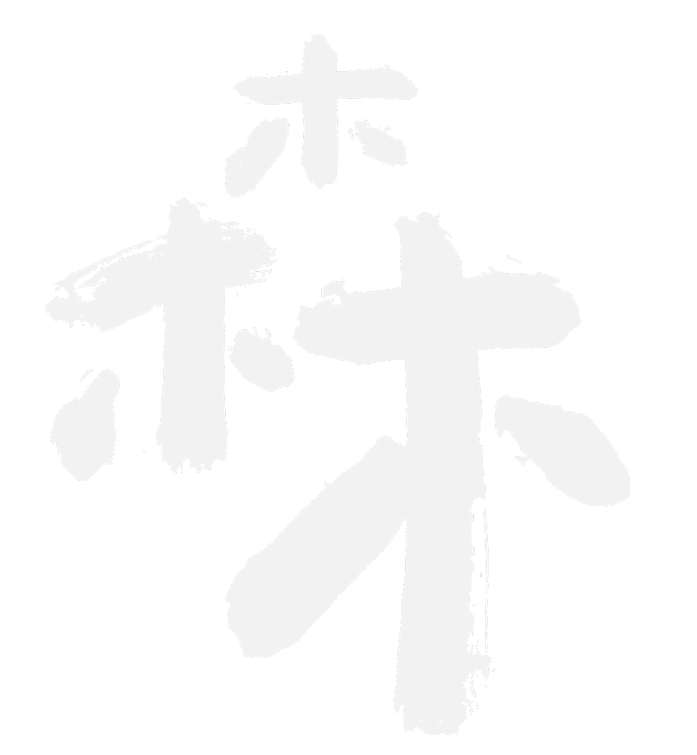ECHOSENSEN