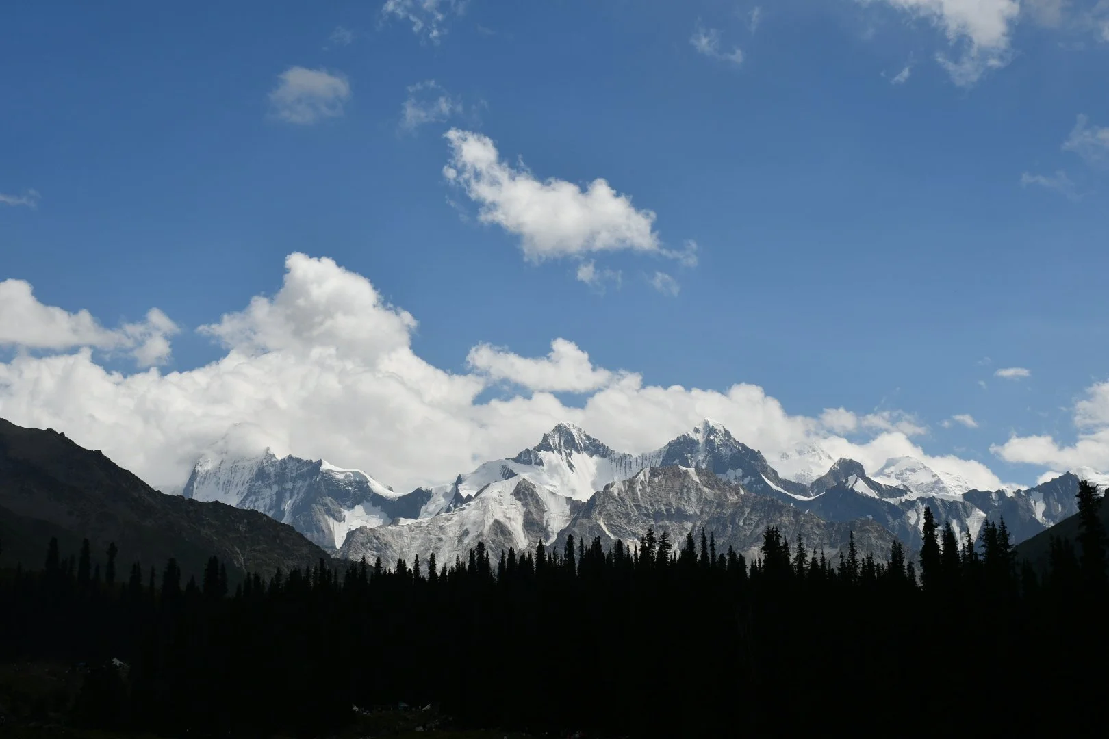 DSC_0979.JPG