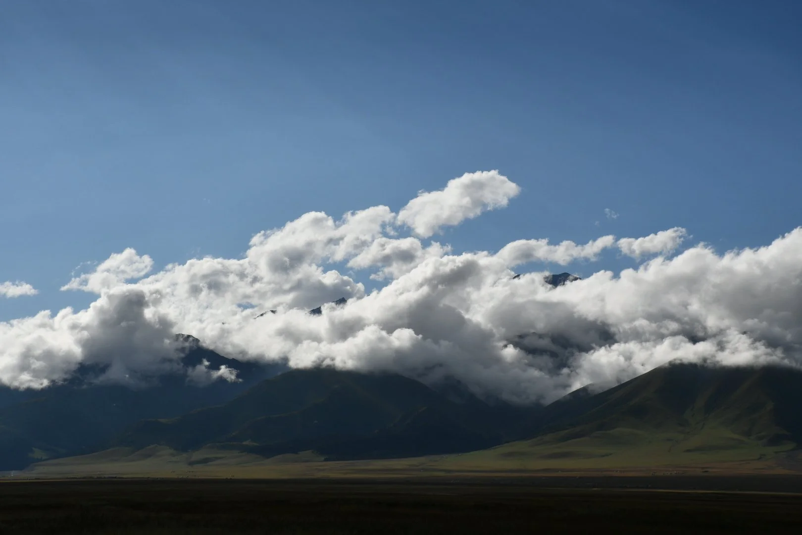 DSC_0489.JPG