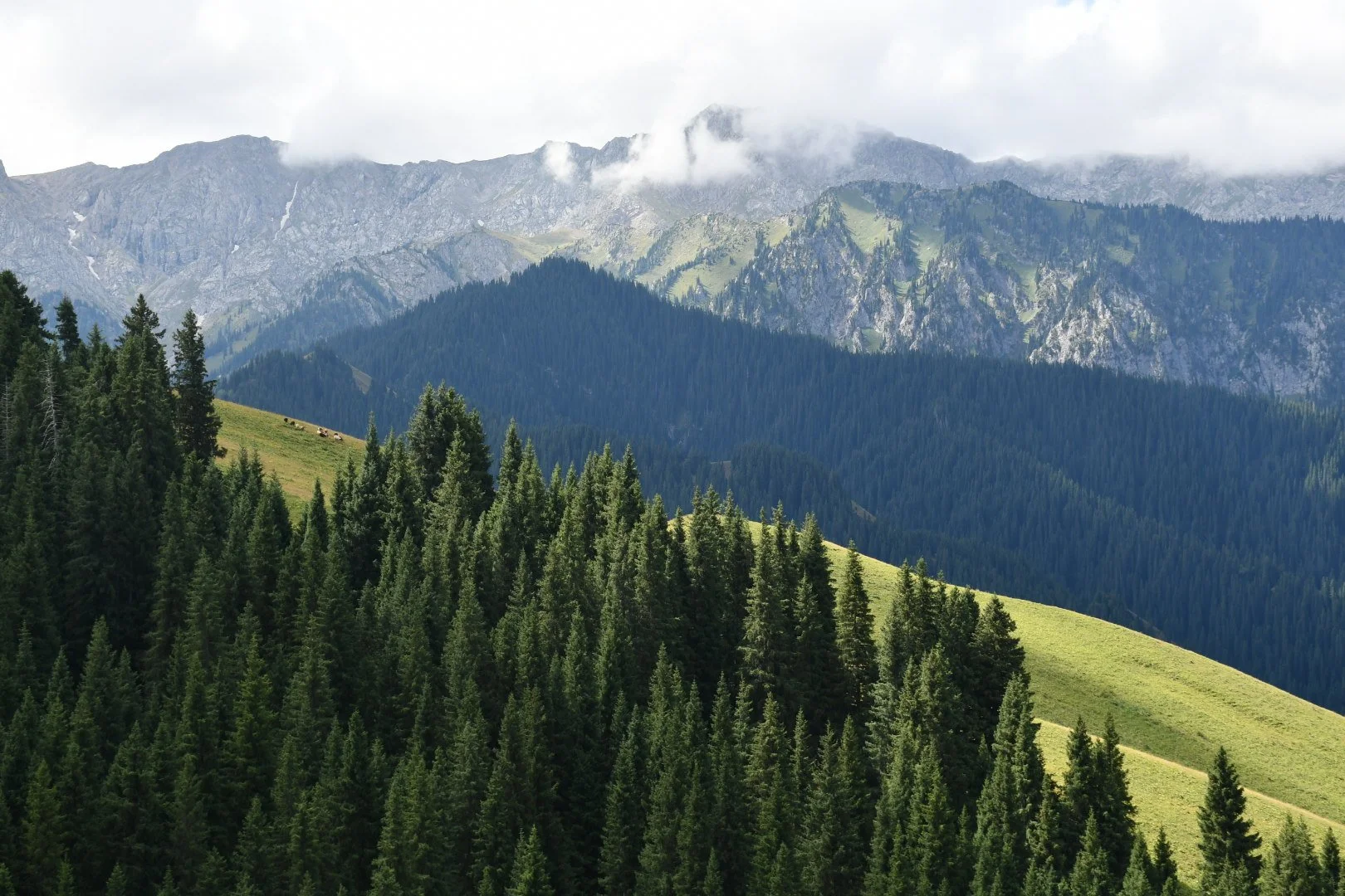 DSC_0410.JPG