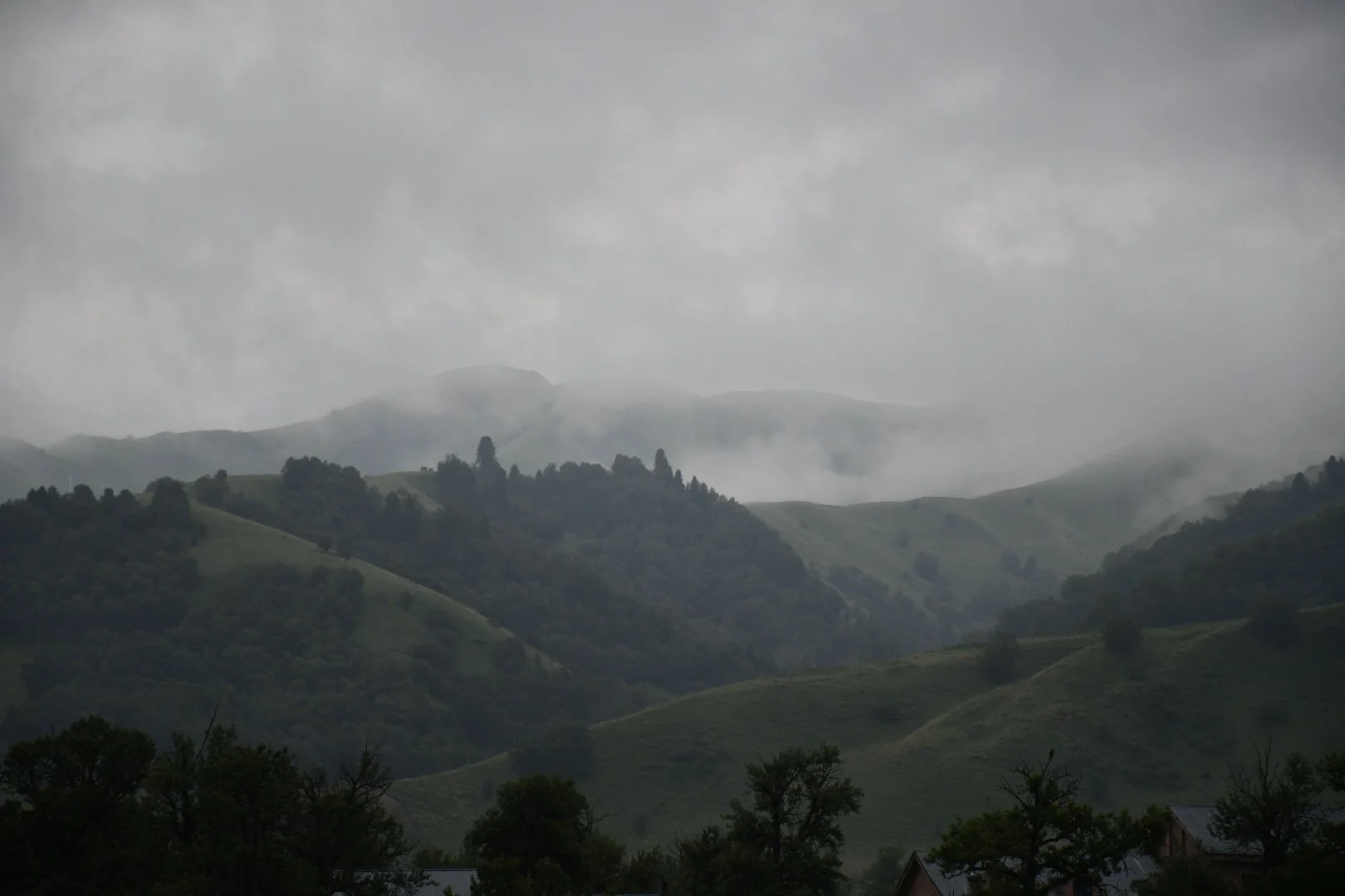 DSC_0516.JPG