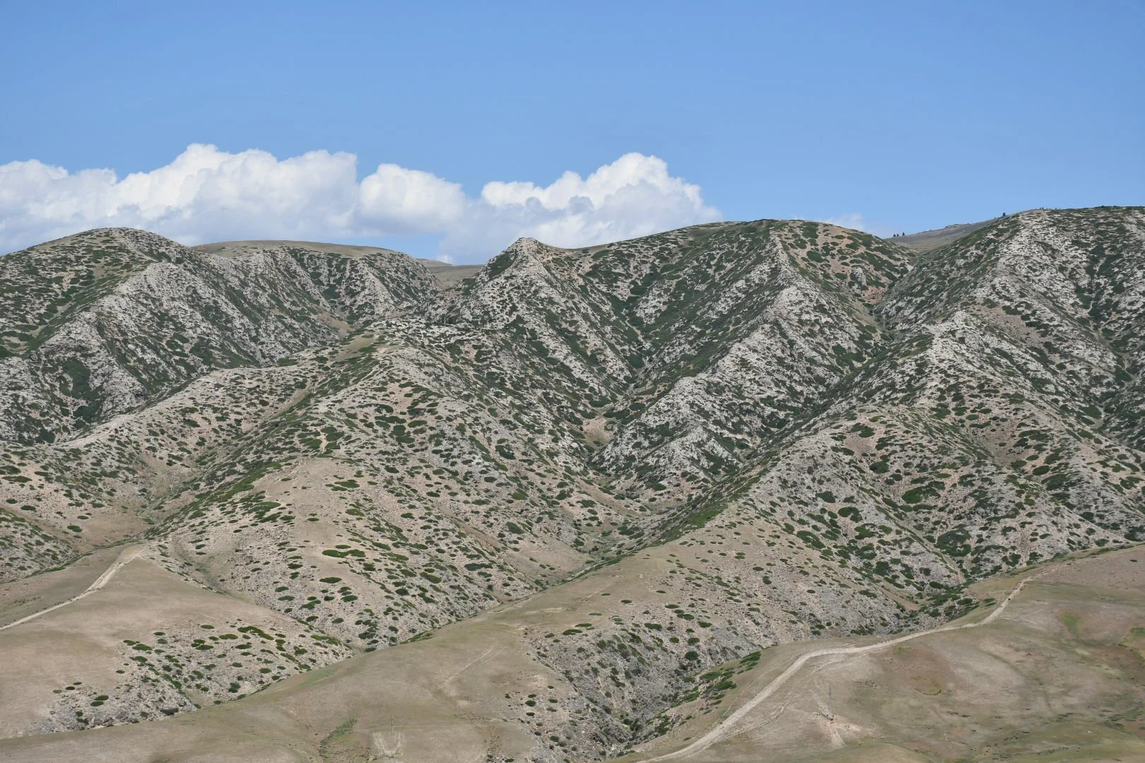DSC_0766.JPG