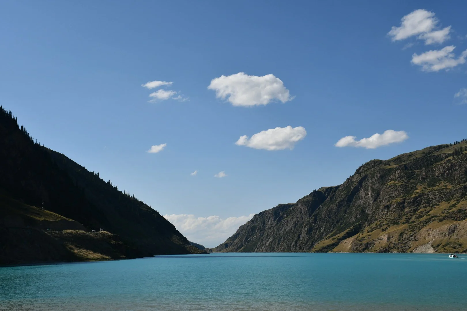 DSC_0788.JPG