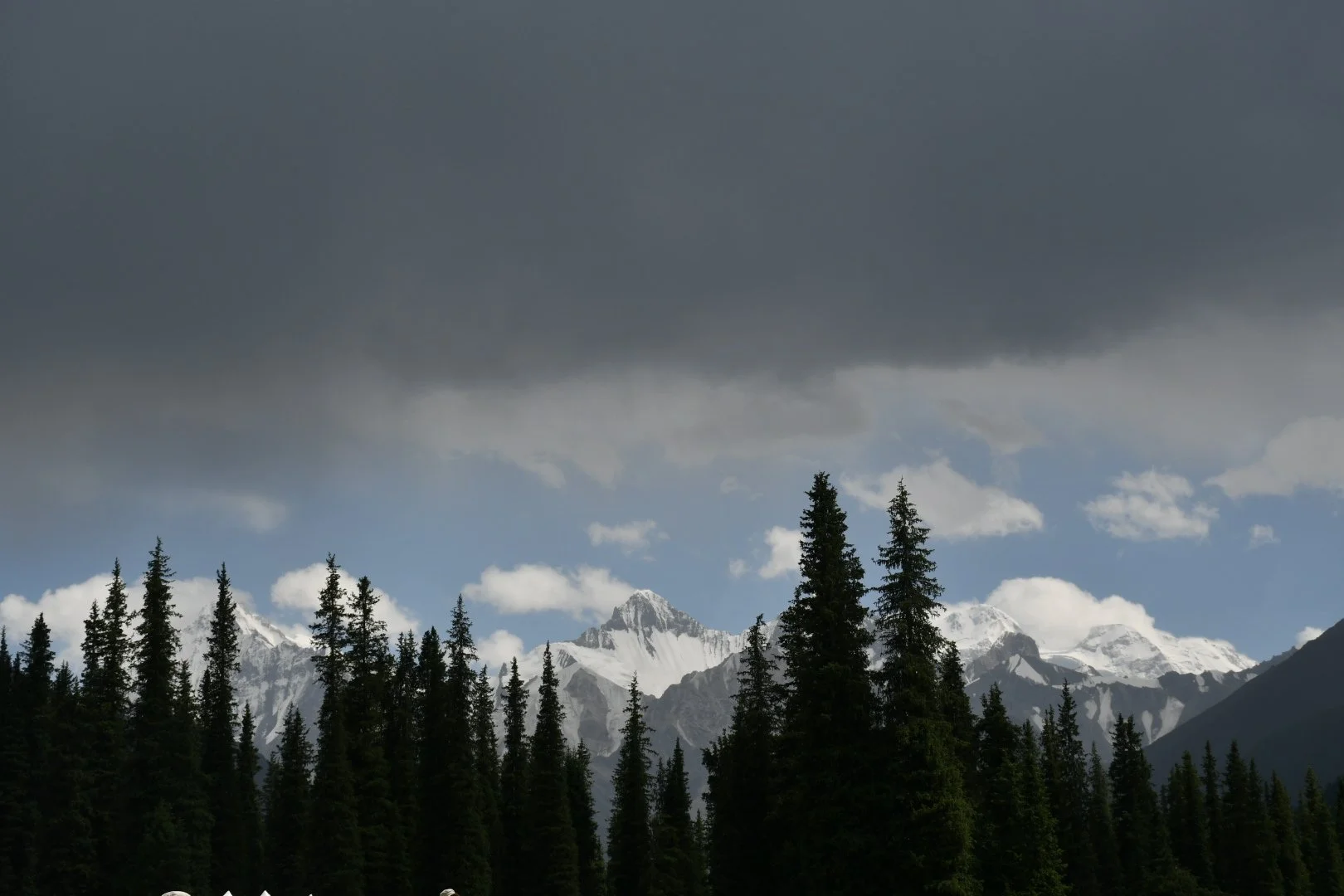 DSC_1000.JPG