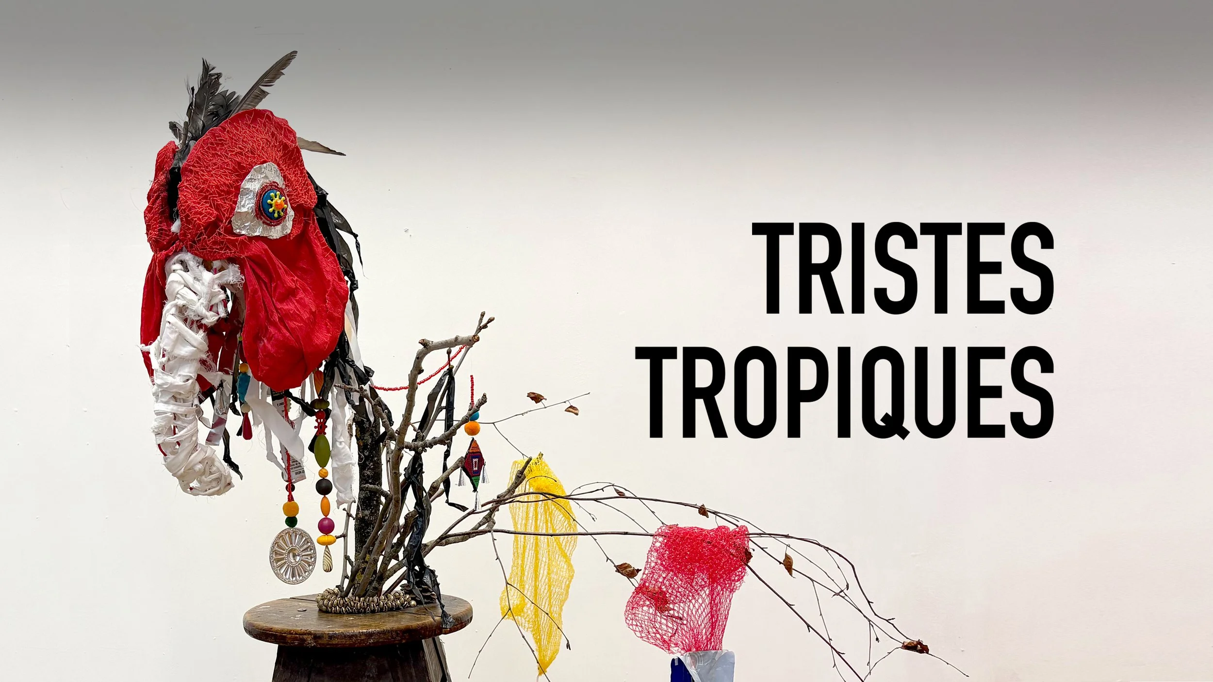 couverture 1 titre.jpg