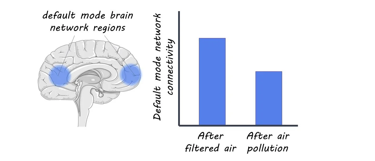 The Impact of Air Pollution on the Brain — BrainPost Easytoread