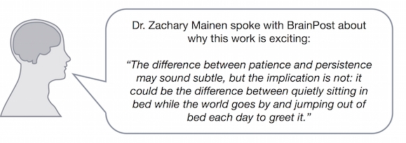 mainen_quote_week8_small.jpg