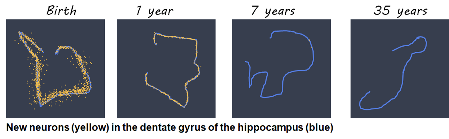 Artistic rendering of Fig 3d
