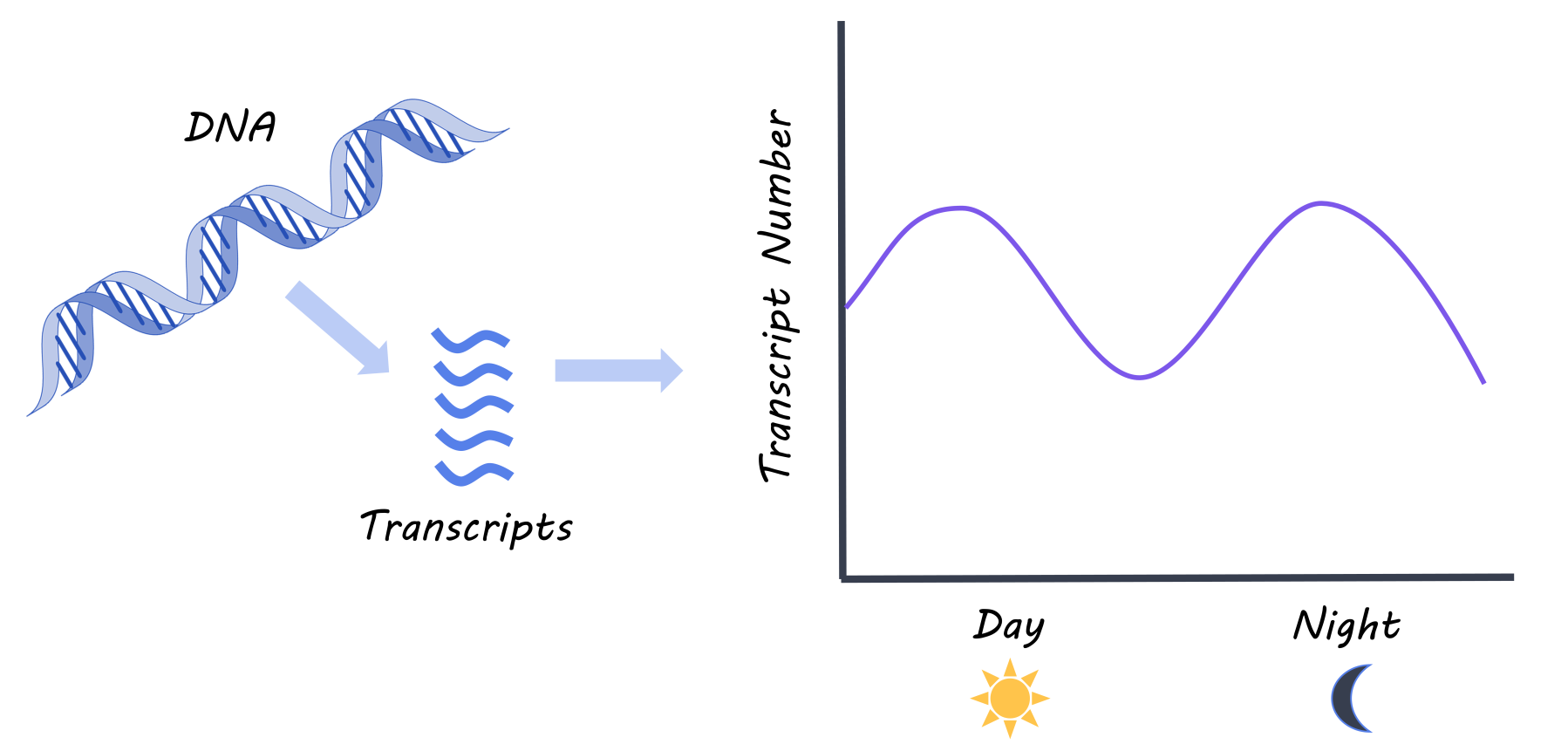 leigh_genetics_postink.png