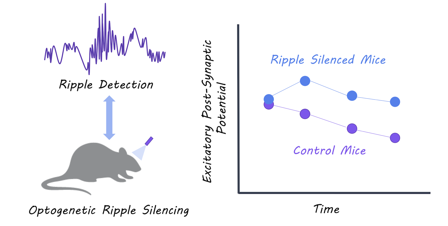 ripples_image_week11_small.png