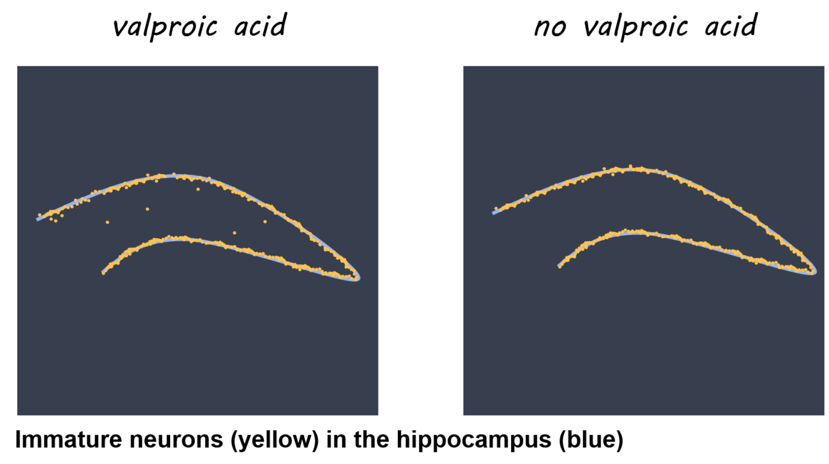 Artistic rendering of Figure 1c