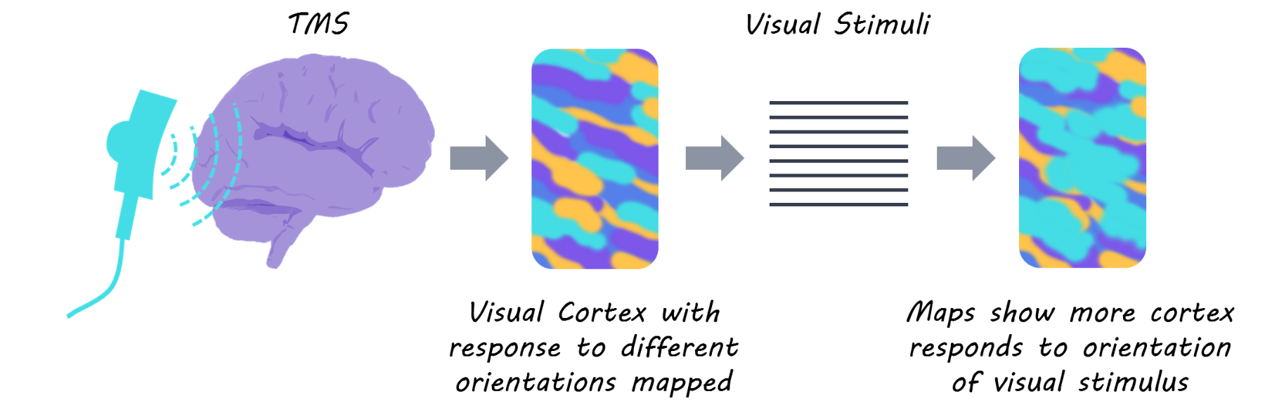 tmspic1800.png