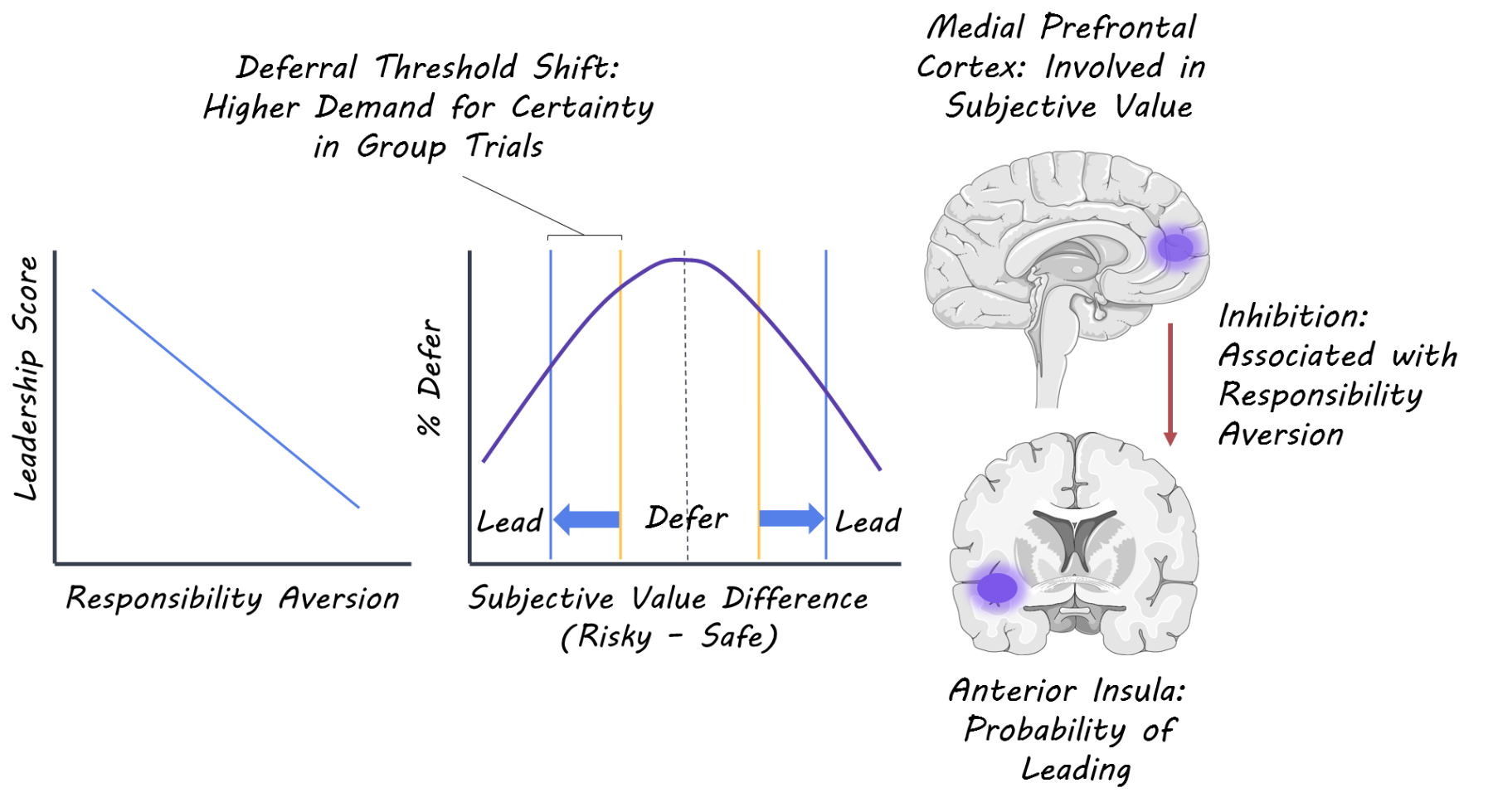  Brain, S ervier Medical Art, image by BrainPost, CC BY-SA 3.0