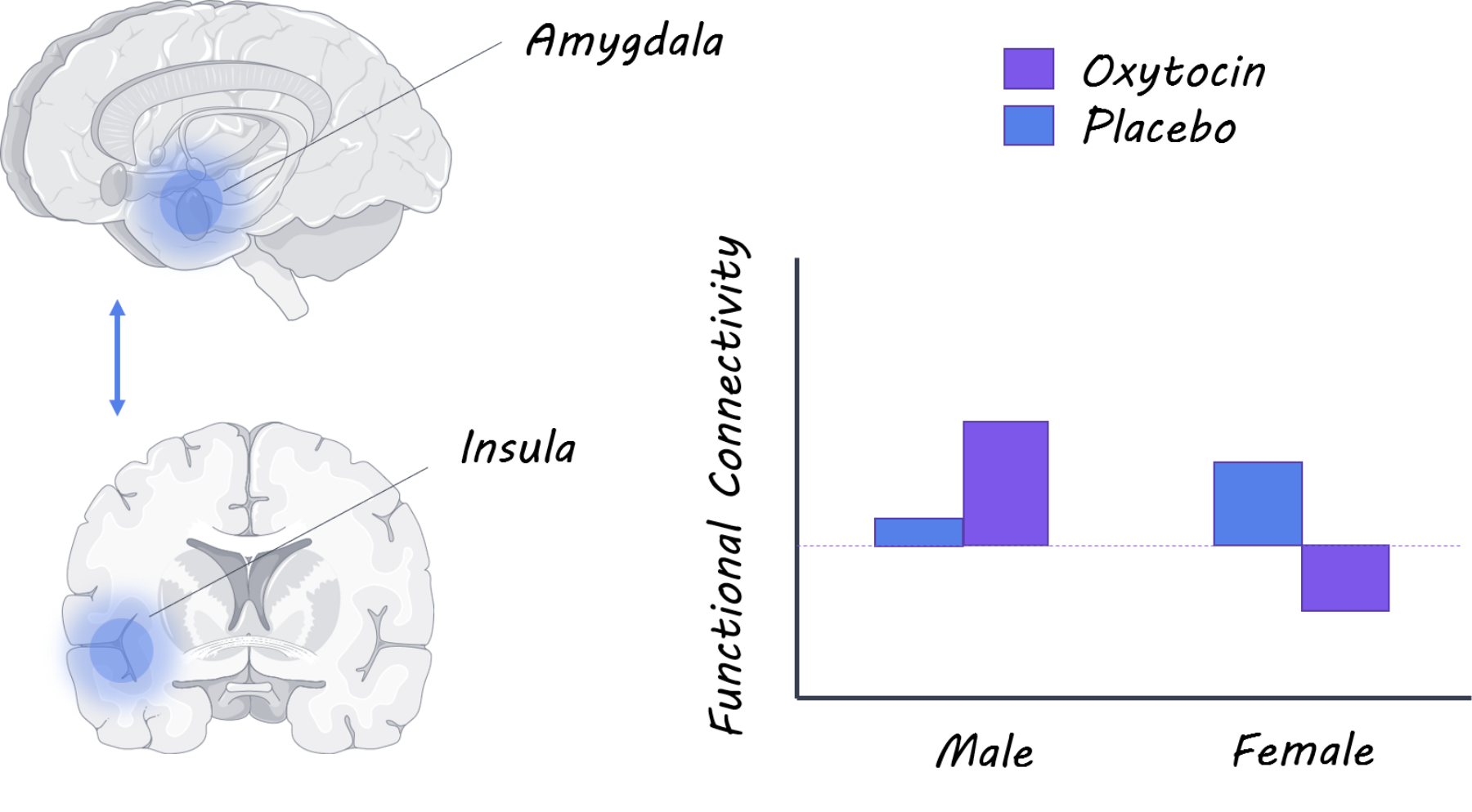 oxytocin1800.png