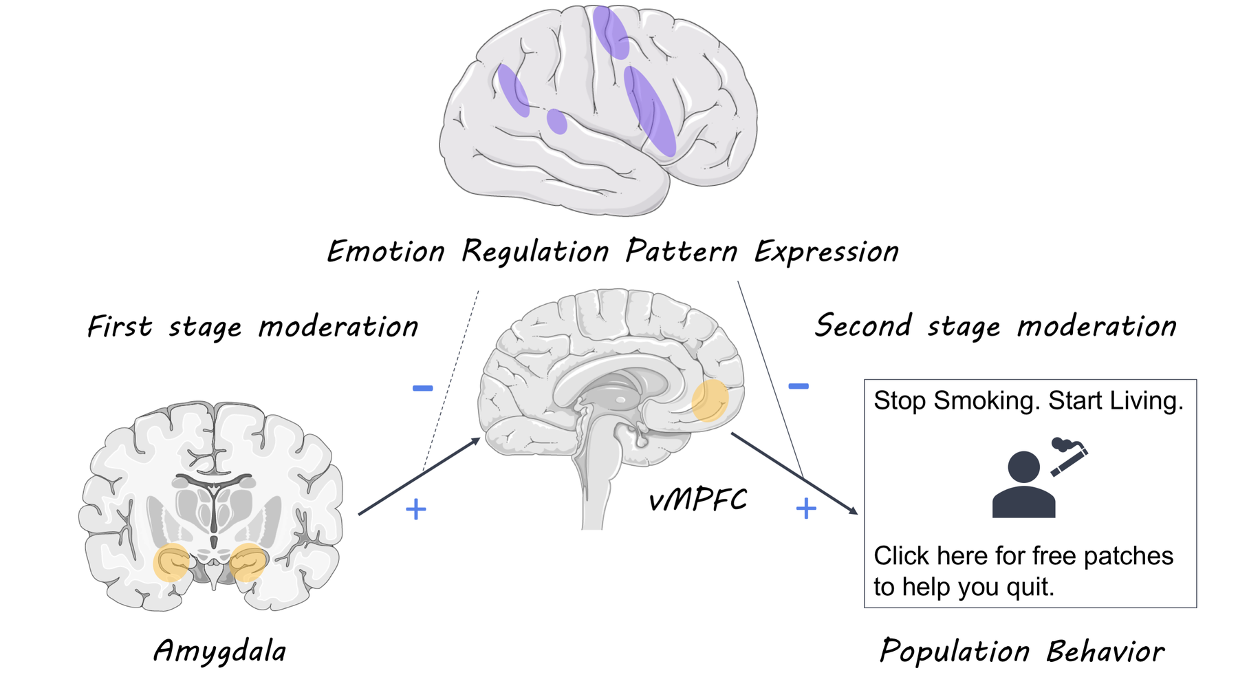 emotion_regulation_image.png