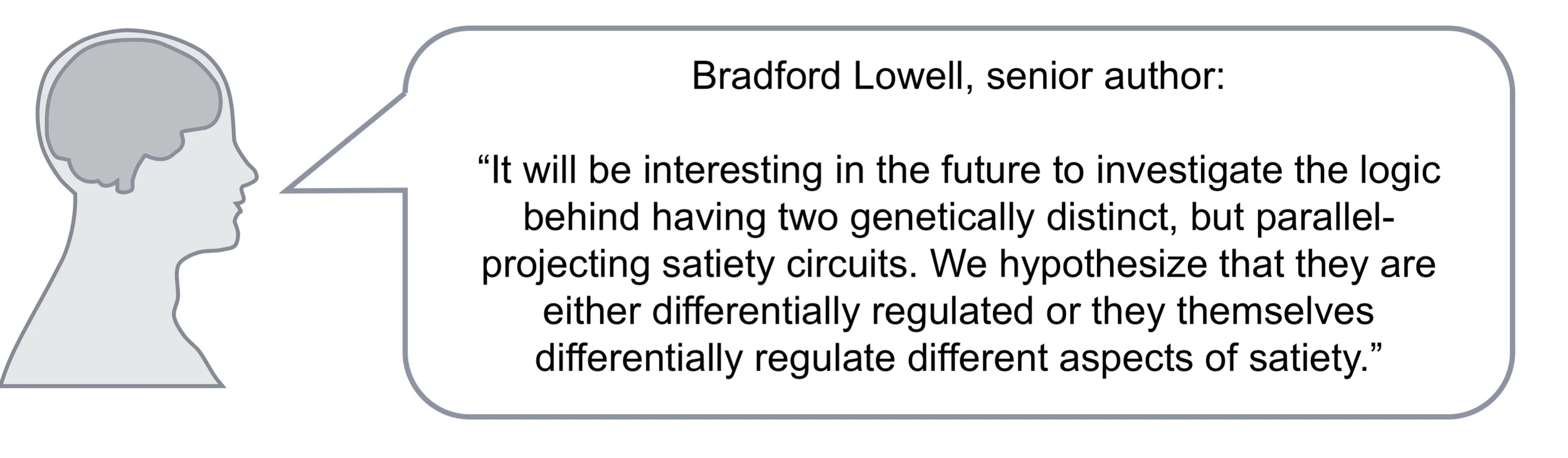 Lowell_quote_March19.jpg