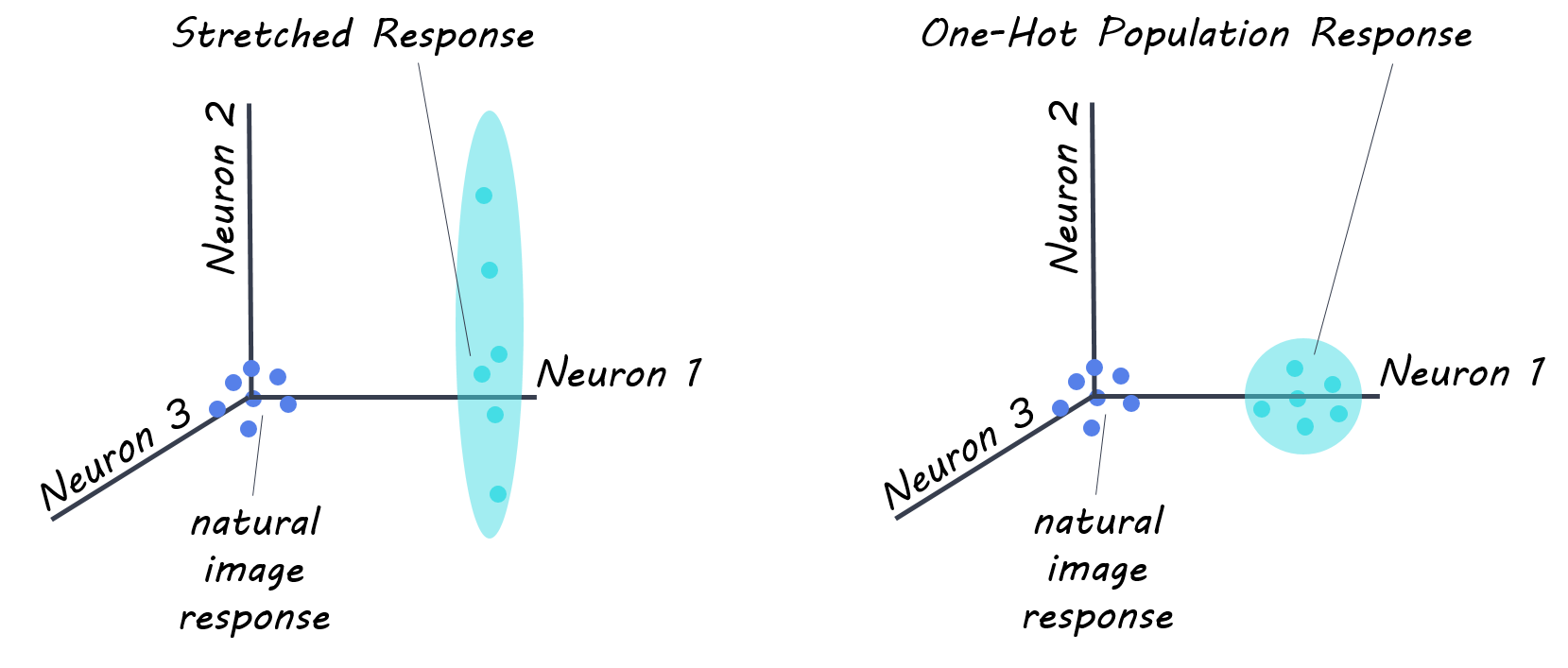 Science.png