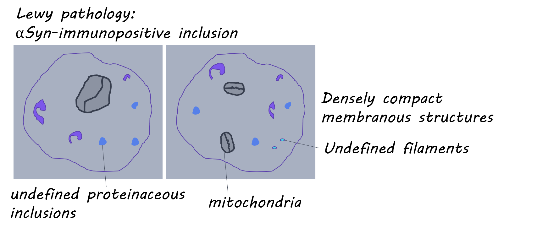 lincoln (1).png