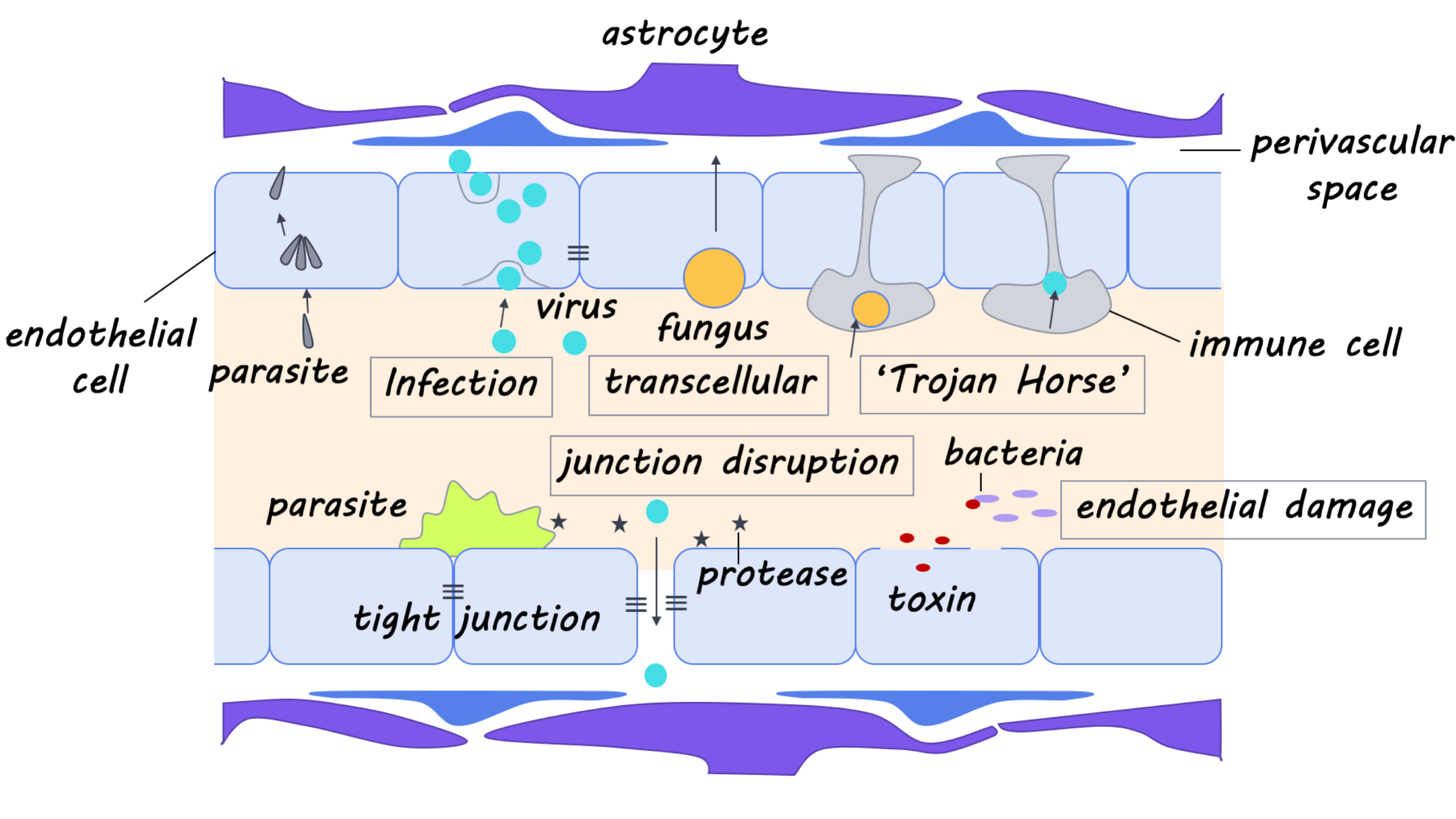 pathogens_image.png