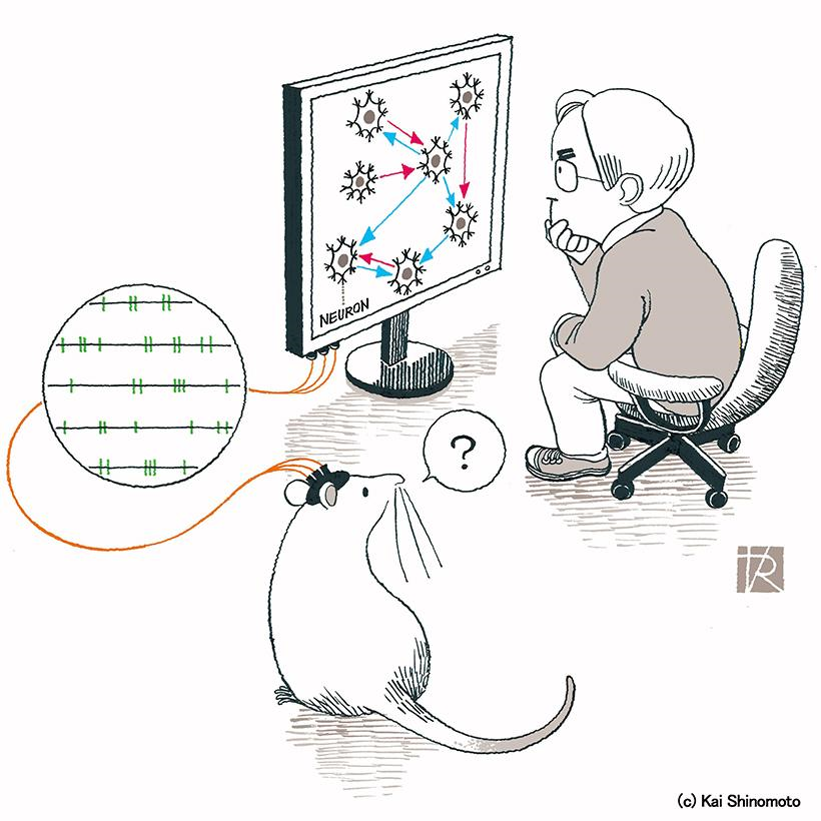 Illustration by Kai Shinomoto